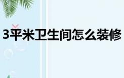 3平米卫生间怎么装修（3平米卫浴怎么装修）