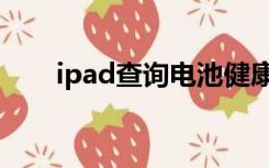 ipad查询电池健康状态（ipad查询）