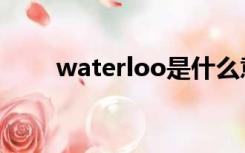 waterloo是什么意思（waterloo）