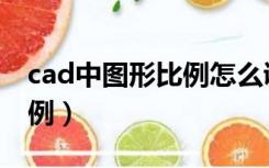 cad中图形比例怎么调（cad怎么调整图形比例）