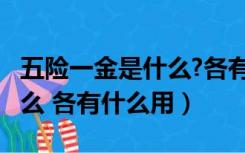 五险一金是什么?各有什么用?（五险一金是什么 各有什么用）