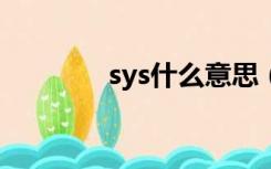 sys什么意思（sy什么意思）