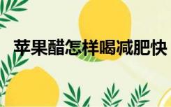 苹果醋怎样喝减肥快（苹果醋怎样喝减肥）