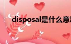 disposal是什么意思英语（disposal）