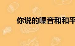 你说的噪音和和平之声是什么意思？