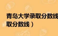 青岛大学录取分数线2022文科（青岛大学录取分数线）