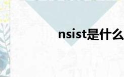 nsist是什么意思（nsis）