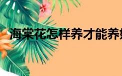 海棠花怎样养才能养好呢（怎么养海棠花）