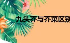 九头芥与芥菜区别（什么叫九头芥）