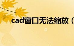 cad窗口无法缩放（cad窗口无法缩小）