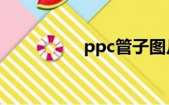 ppc管子图片（ppc管）