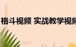 格斗视频 实战教学视频（近身格斗教学视频）