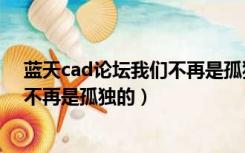 蓝天cad论坛我们不再是孤独的探索者（蓝天cad论坛我们不再是孤独的）