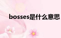 bosses是什么意思（boss是什么意思）