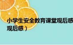 小学生安全教育课堂观后感（《小学生安全教育知识讲座》观后感）