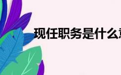 现任职务是什么意思（现任职务）