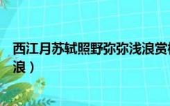 西江月苏轼照野弥弥浅浪赏析注音（西江月苏轼照野弥弥浅浪）