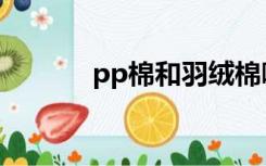 pp棉和羽绒棉哪个好（ppm）