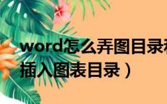 word怎么弄图目录和表目录（word里如何插入图表目录）