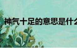 神气十足的意思是什么?（神气十足的意思）