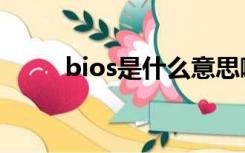 bios是什么意思啊（bios是什么）