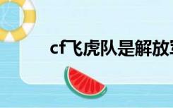 cf飞虎队是解放军吗（cf飞虎队）