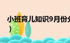 小班育儿知识9月份分离焦虑（小班育儿知识）