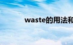 waste的用法和短语（waste）