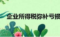 企业所得税弥补亏损明细表怎么填写数字