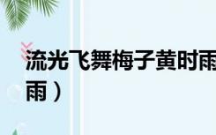 流光飞舞梅子黄时雨19（流光飞舞梅子黄时雨）