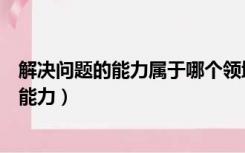 解决问题的能力属于哪个领域（解决问题的能力分为哪几种能力）