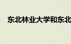 东北林业大学和东北农业大学哪个好一些