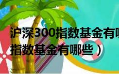 沪深300指数基金有哪些,经理是谁（沪深300指数基金有哪些）