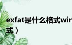 exfat是什么格式win支持吗（exfat是什么格式）