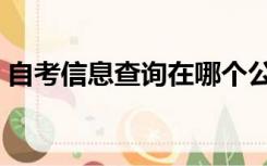 自考信息查询在哪个公众号（自考信息查询）