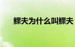 鳏夫为什么叫鳏夫（鳏夫是什么意思）