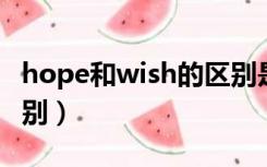 hope和wish的区别是什么（hope wish的区别）