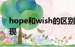 hope和wish的区别 一个能实现一个不能实现