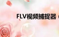 FLV视频捕捉器（flv视频探测器）