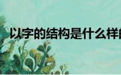 以字的结构是什么样的（以字是什么结构）