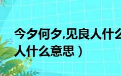 今夕何夕,见良人什么意思（今夕何夕见此良人什么意思）