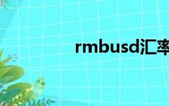 rmbusd汇率（rmbusd）