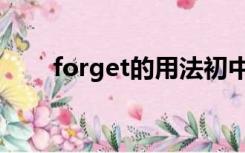 forget的用法初中（forget的用法）