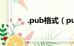 .pub格式（pub是什么格式）