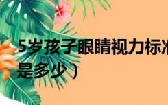 5岁孩子眼睛视力标准是多少（眼睛视力标准是多少）