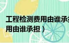 工程检测费用由谁承担划分依据（工程检测费用由谁承担）