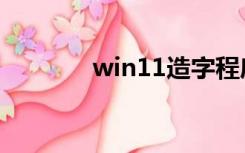 win11造字程序（造字程序）