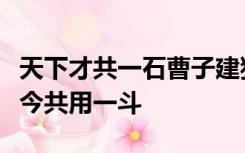 天下才共一石曹子建独得八斗我得一斗自古及今共用一斗