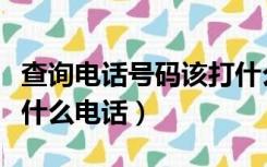 查询电话号码该打什么电话（查询电话号码打什么电话）