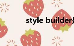 style builder是什么意思中文